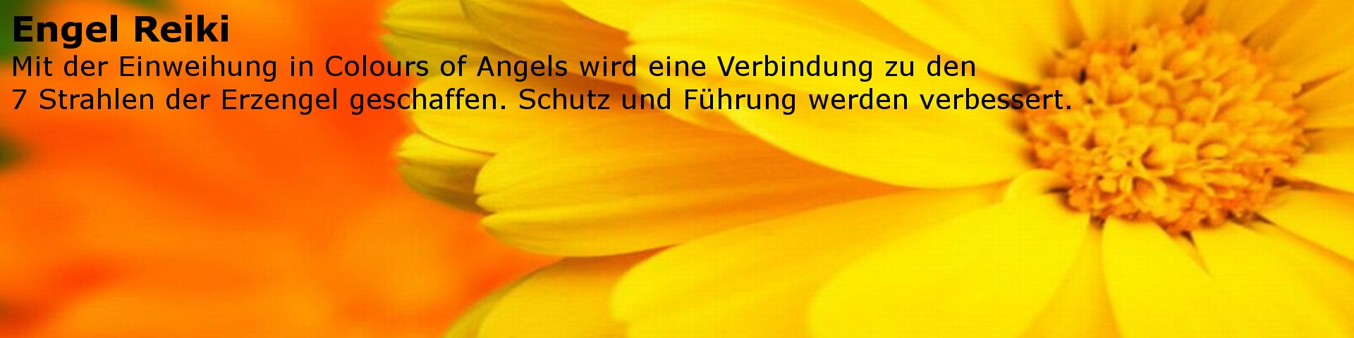 Reiki Einweihung in die 7 Strahlen der Erzengel - "Colours of Angels".