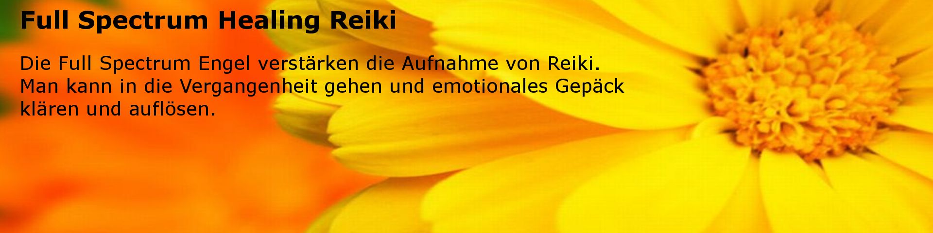 Full Spectrum Healing - Engel Reiki Einweihung