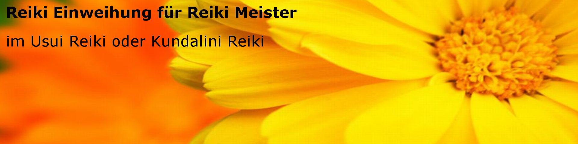 Einweihungen für Reiki Meister, dazu gehören Psychic und Meridian Reiki.